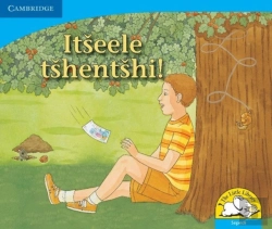Bertrand.pt - Little Library Numeracy: Keep The Change! Sepedi Version