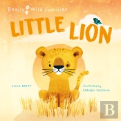 Little Lion