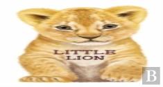 Little Lion