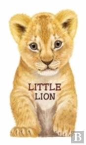 Little Lion