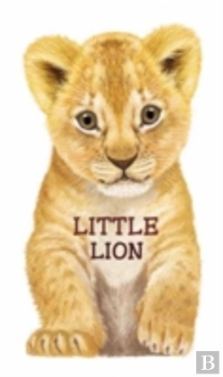 Bertrand.pt - Little Lion