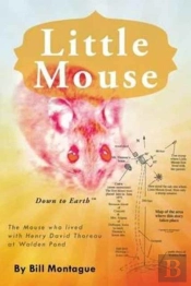 Little Mouse