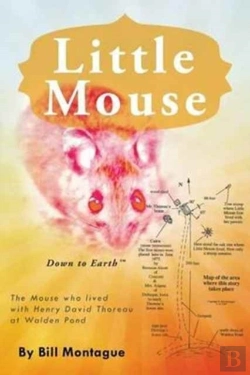Bertrand.pt - Little Mouse