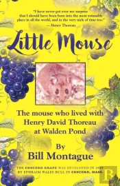 Little Mouse