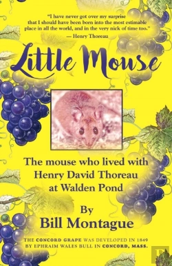Bertrand.pt - Little Mouse