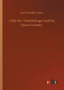 Little Mr. Thimblefinger And His Queer Country
