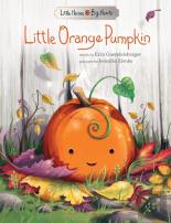 Little Orange Pumpkin