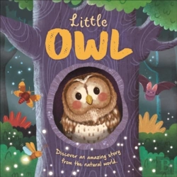 Bertrand.pt - Little Owl