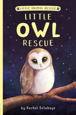 Bertrand.pt - Little Owl Rescue