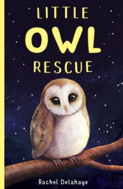 Bertrand.pt - Little Owl Rescue