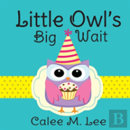 Little Owl'S Big Wait