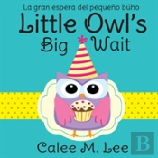 Little Owl'S Big Wait / La Gran Espera Del Pequeno Buho