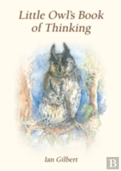 Bertrand.pt - Little Owl'S Book Of Thinking