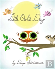 Little Owl'S Day