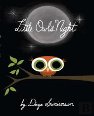 Little Owl'S Night