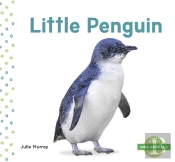 Little Penguin