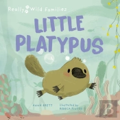 Little Platypus