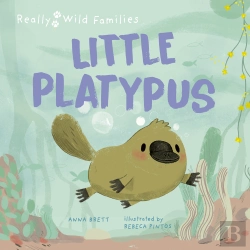 Bertrand.pt - Little Platypus