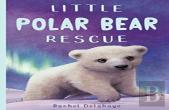 Little Polar Bear Rescue