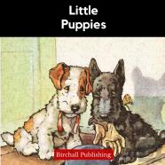 Little Puppies