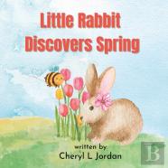 Little Rabbit Discovers Spring