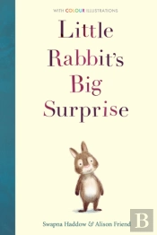 Little Rabbit'S Big Surprise