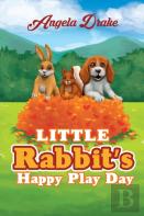 Little Rabbit'S Happy Play Day