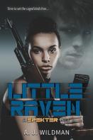 Little Raven