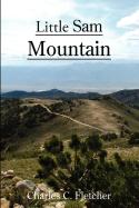 Little Sam Mountain