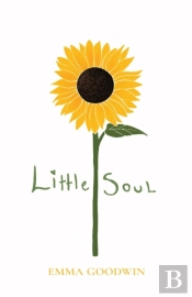 Little Soul