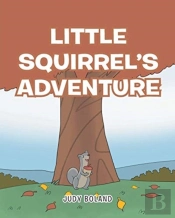 Little Squirrel'S Adventure