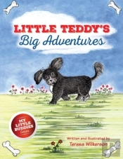 Little Teddy'S Big Adventures