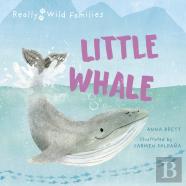 Little Whale