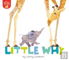 Little Why