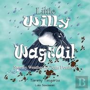 Little Willy Wagtail