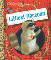 Littlest Raccoon