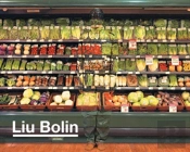 Liu Bolin