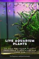 Live Aquarium Plants