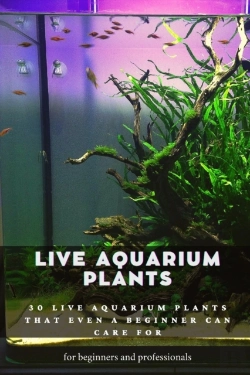 Bertrand.pt - Live Aquarium Plants