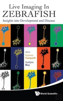 Bertrand.pt - Live Imaging In Zebrafish: Insights Into Development And Disease