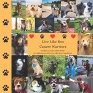 Live Like Roo Cancer Warriors