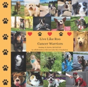 Live Like Roo Cancer Warriors