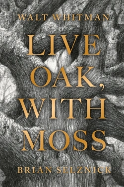 Bertrand.pt - Live Oak, With Moss