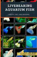 Livebearing Aquarium Fish