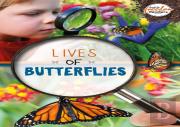 Lives Of Butterflies
