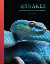 Lives Of Snakes