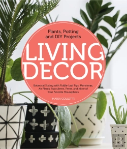 Bertrand.pt - Living Decor