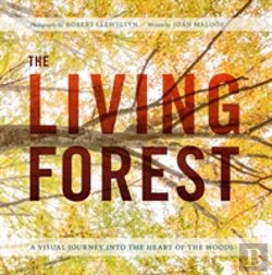 Bertrand.pt - Living Forest The