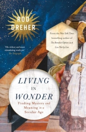 Living In Wonder