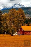 Living Off The Grid With Merlyn Seeley